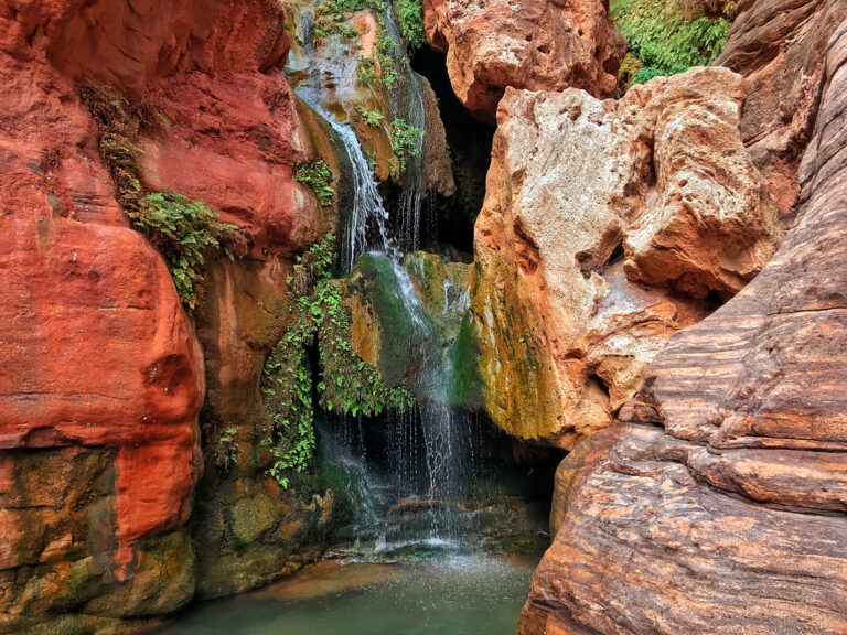 Elves Chasm waterfall and swimming pool hole with Maidenhair ferns in the Grand Canyon National Park Arizona