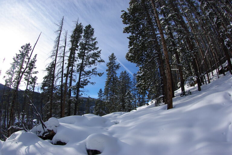Memorial Falls Trail