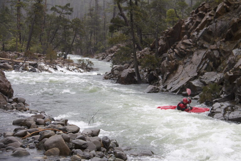 Catching and Eddy in the Island Rapid