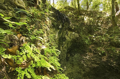 Falling Waters State Park-1