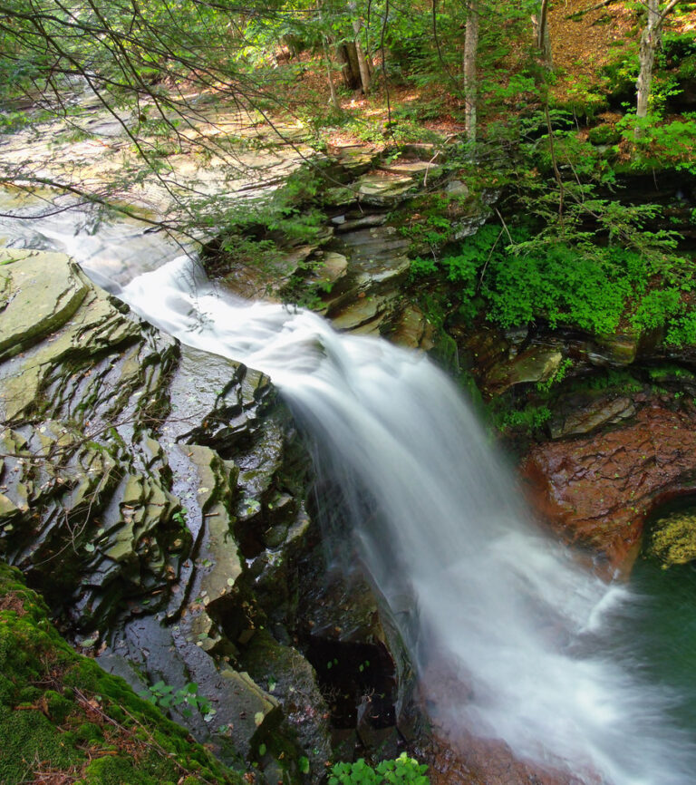 Lewis Falls (1)