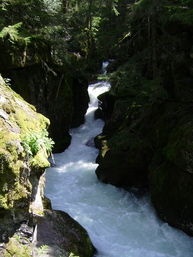 Avalanche Gorge 1