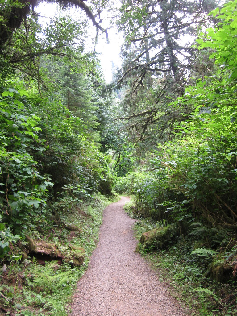 Munson Creek Falls - Oregon