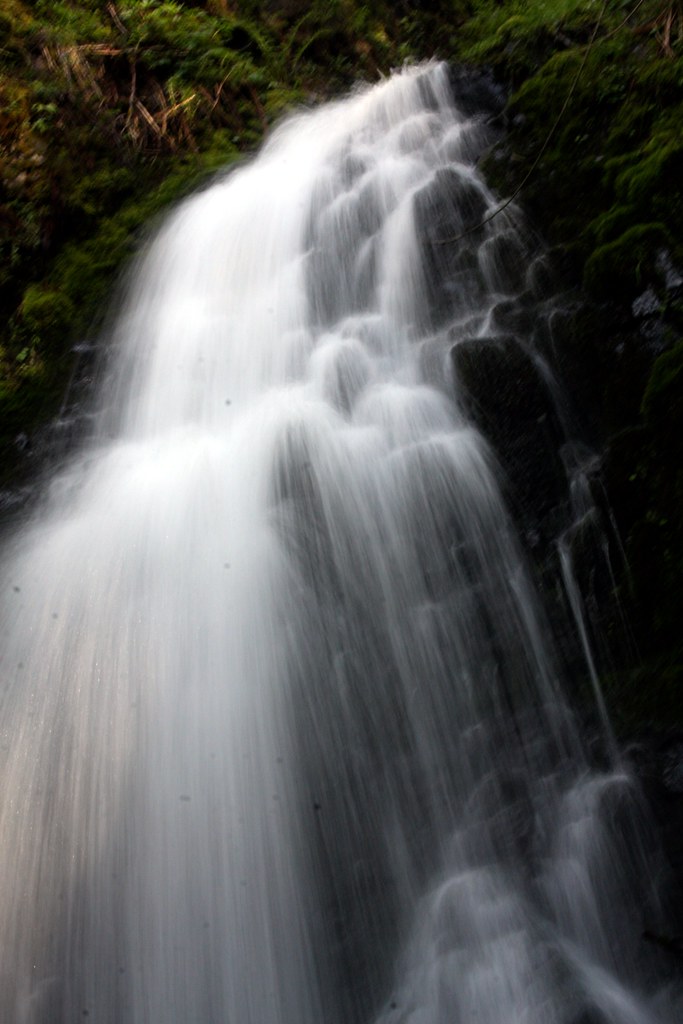 Fern Rock Falls, Oregon Coast Range