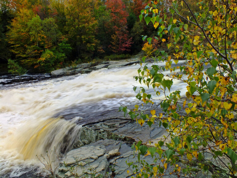 Warnertown Falls