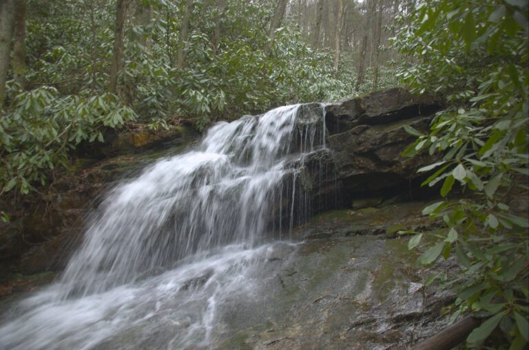 2011-12-26; falls on a tributary stream at Red Fork Falls, Unicoi Co., Tennessee