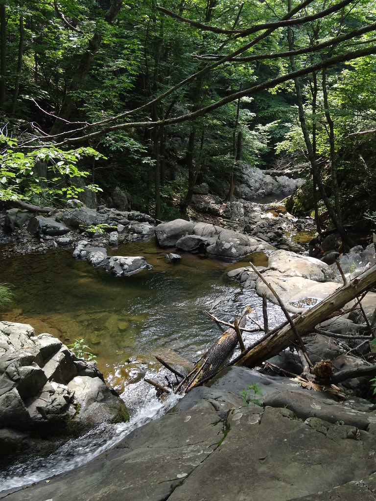 Rose River Falls - Shenandoah National Park - Luray VA Rose River Falls - Shenandoah National Park - Luray VA