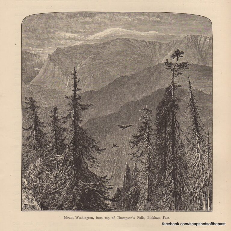 164 NH Mt. Washington Thompsons Falls Pinkham Notch snapshotsofthepast.com.jpg