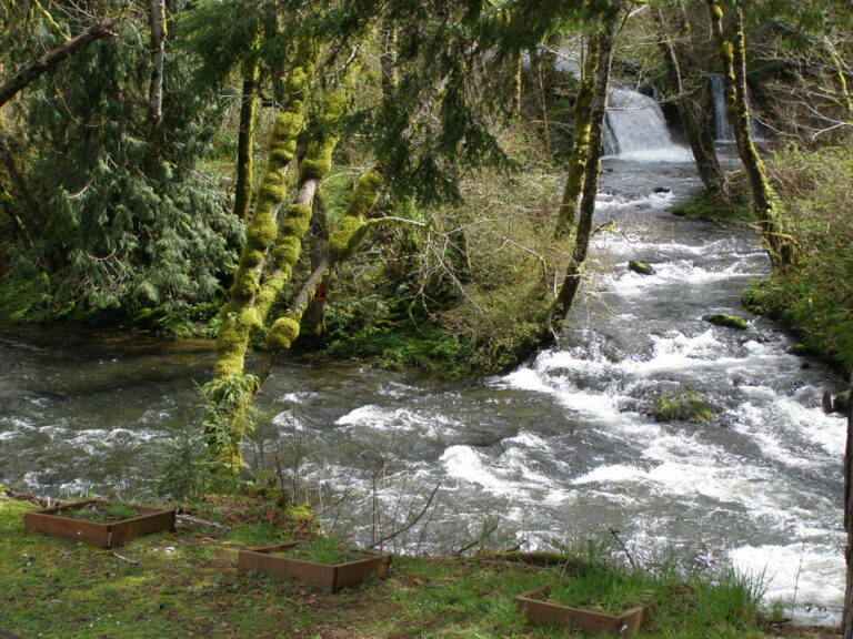 Anna's Falls on the Oregon Salomon River Anna's Falls on the Oregon Salomon River