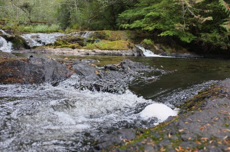 Beaver Falls, SR 113