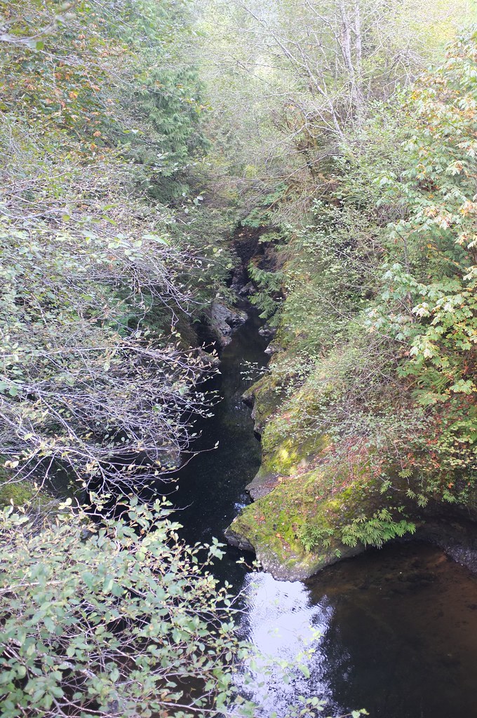 Before Hoko Falls