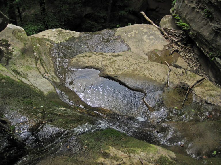 Above Ash Cave Falls (Hocking Hills, Ohio, USA) 6