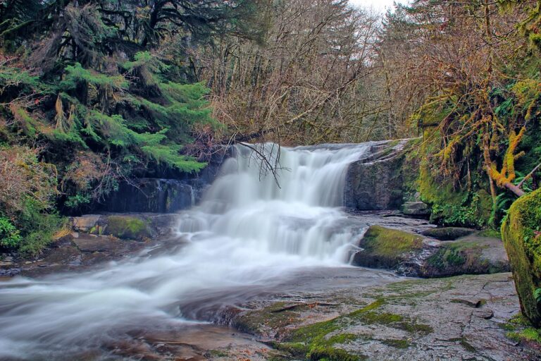 Alsea Falls Benton County, Oregon