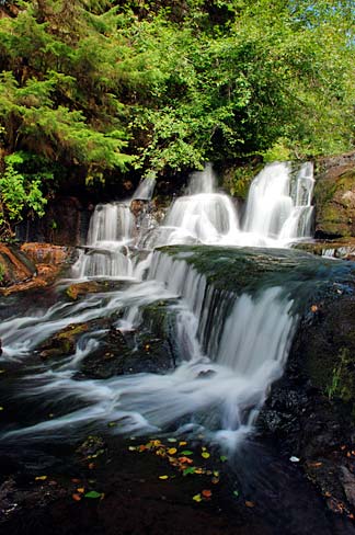 Alsea Falls