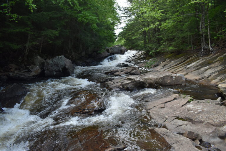 Austin Falls Sacandaga River June 2021