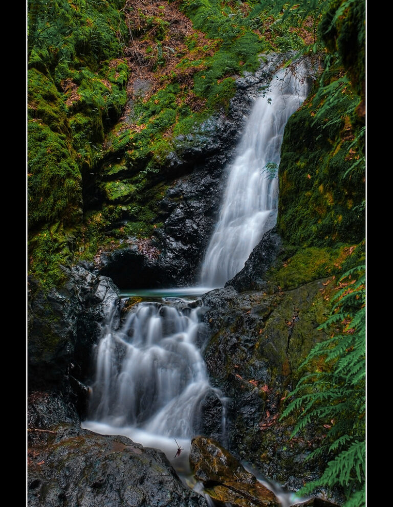 Basin Falls, Uvas Canyon County Park