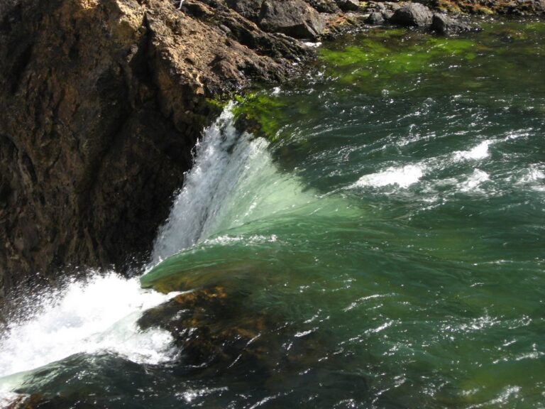 Brink of Lower Yellowstone Falls, Yellowstone National Park, Wyoming Brink of Lower Yellowstone Falls, Yellowstone National Park, Wyoming