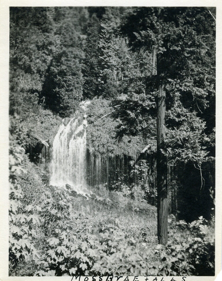 [CALIFORNIA-Q-0003] Mossbrae Falls - Sacramento River