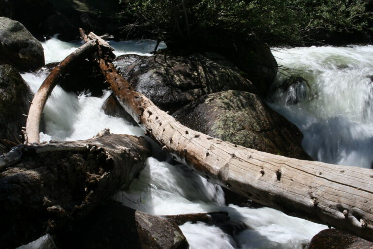 Calypso Cascades Logs