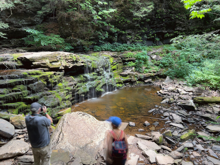 Cayuga Falls