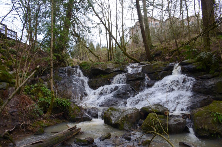 File:Cedar Mill Falls - Cedar Mill, Oregon (Feb. 2016).jpg