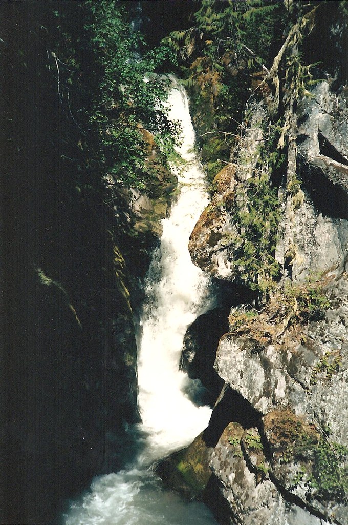 Christine Falls, Washington State