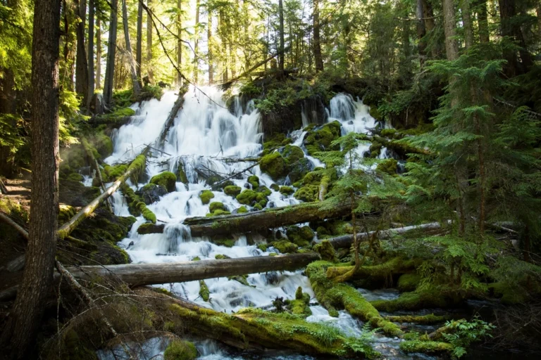 Clearwater Falls, Oregon