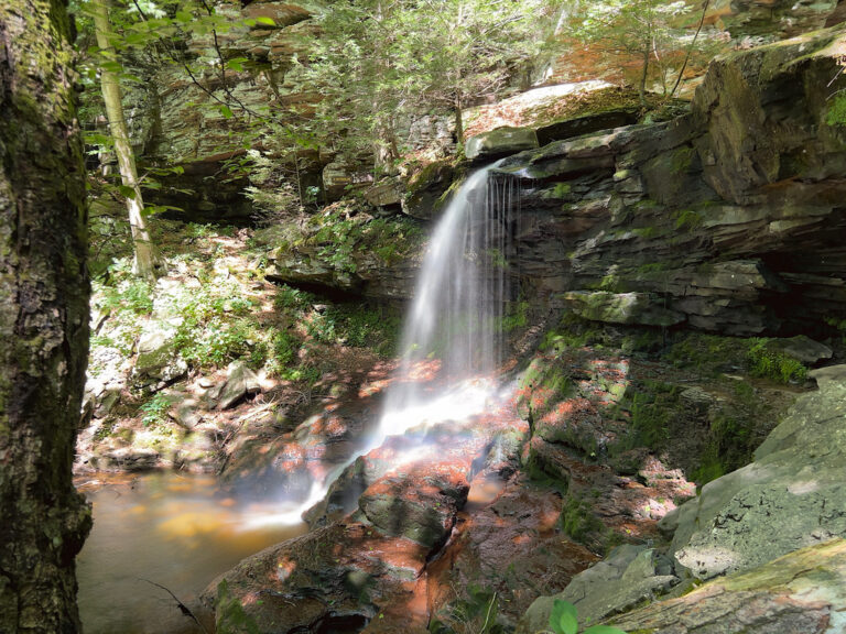Closeup of B. Reynolds Falls