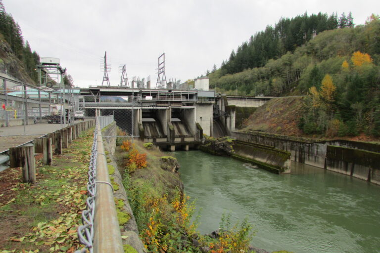 Cowlitz Falls Prjt 8136
