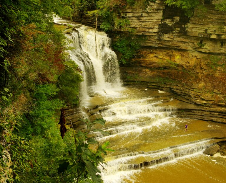 Cummins-falls-tn1