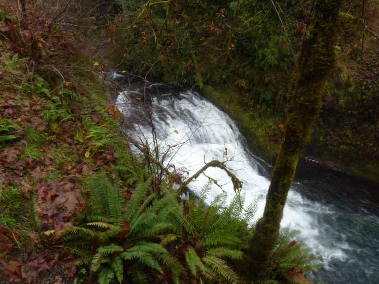 Drake Falls