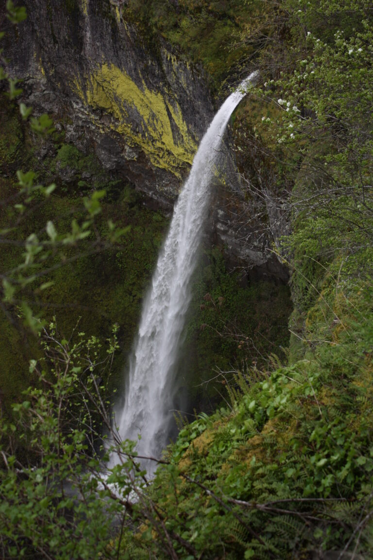 Elowah Falls