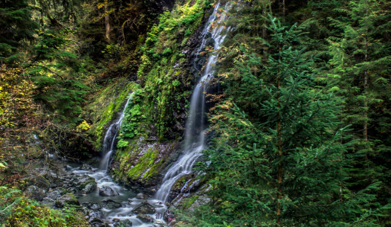 Feature Show Falls
