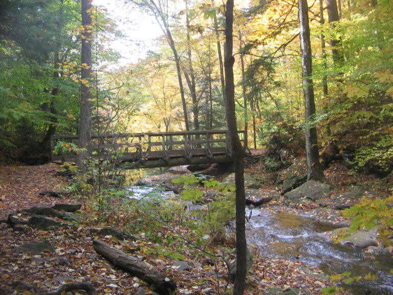 File:Ricketts Glen State Park Ozone Falls 5.jpg