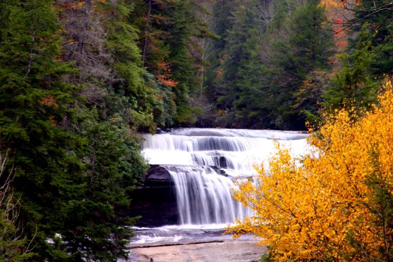 File:Triple Falls DuPont State Forest.jpg
