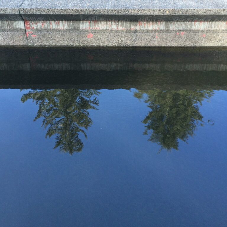 Gnat Creek Hatchery