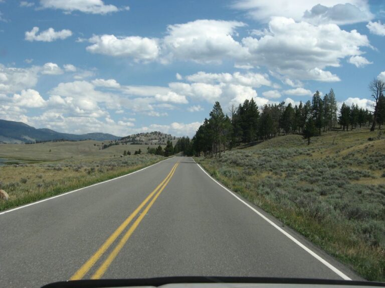Grand Loop Road Between Mammoth Hot Springs and Tower Fall, Yellowstone National Park, Wyoming