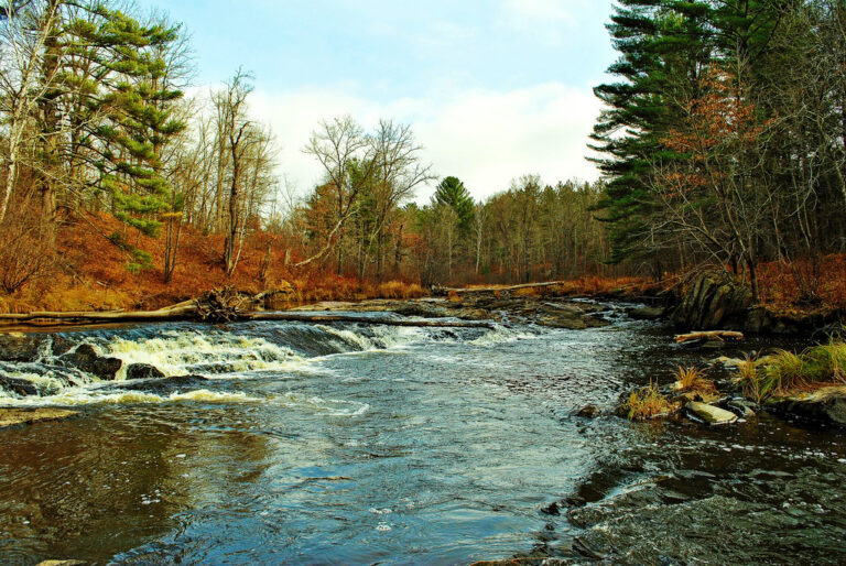 Hamilton Falls