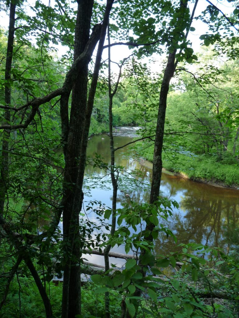 Hamilton Falls Eau Claire River Wisconsin
