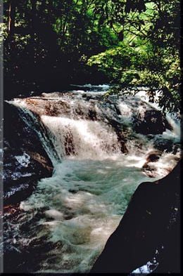 Hemlock Falls