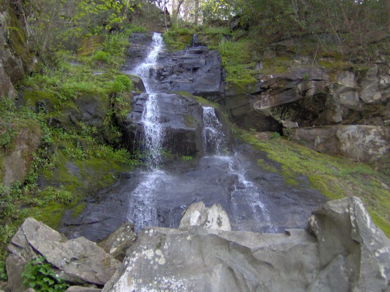 Hen-wallow-falls-gsmnp1