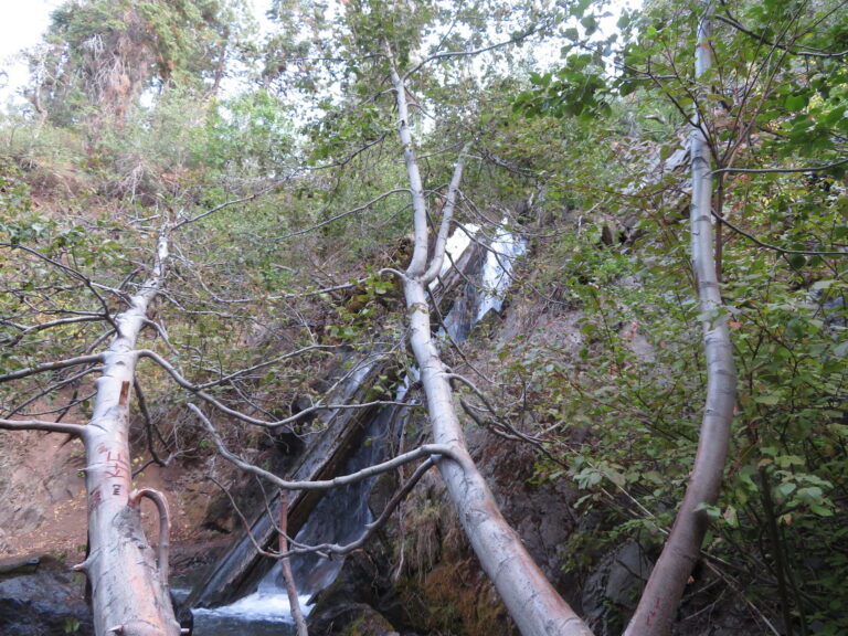 Hunter Creek Falls Trail, Reno, Nevada (50425338218)