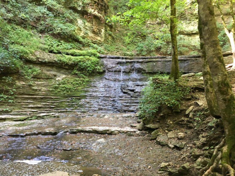 Jackson Falls Tennessee