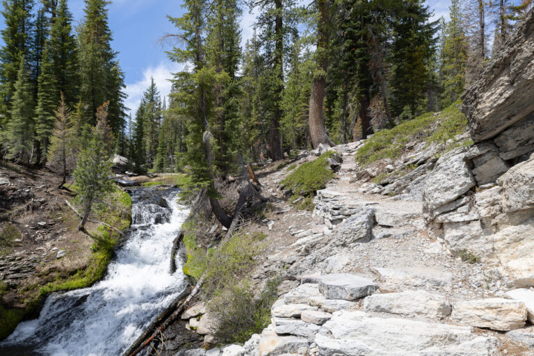 Kings Creek Falls Trail in June 2022-5978 Kings Creek Falls Trail in June 2022-5978
