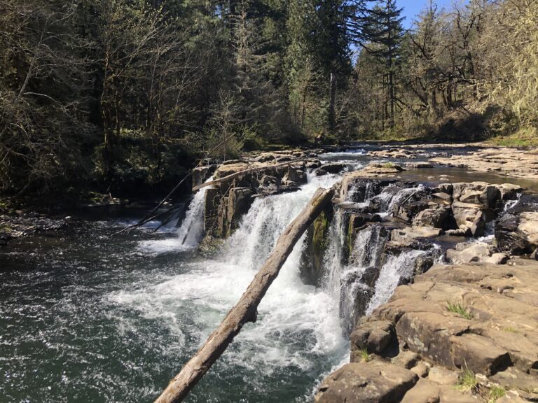 Lee Falls