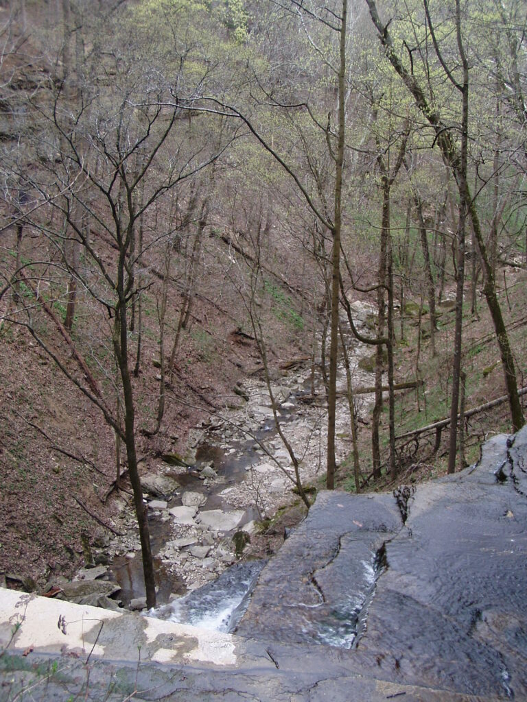 Little Clifty Falls P4120060
