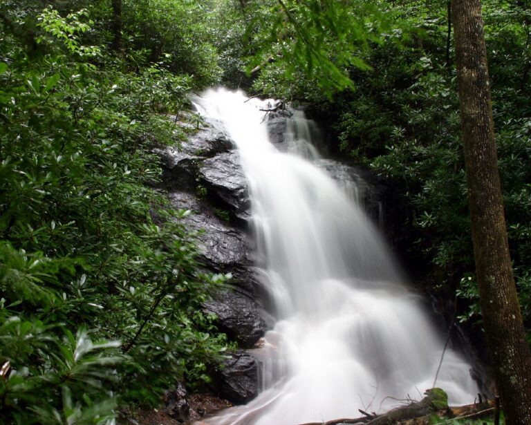 Log Hollow Falls Log Hollow Falls