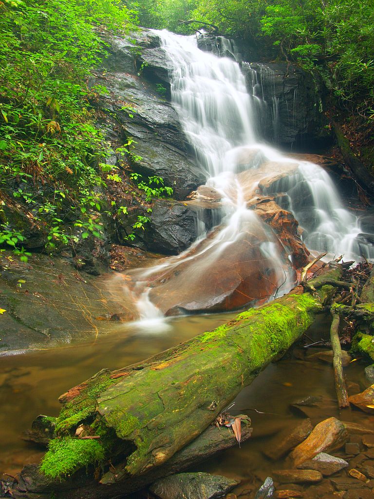 Log Hollow Falls