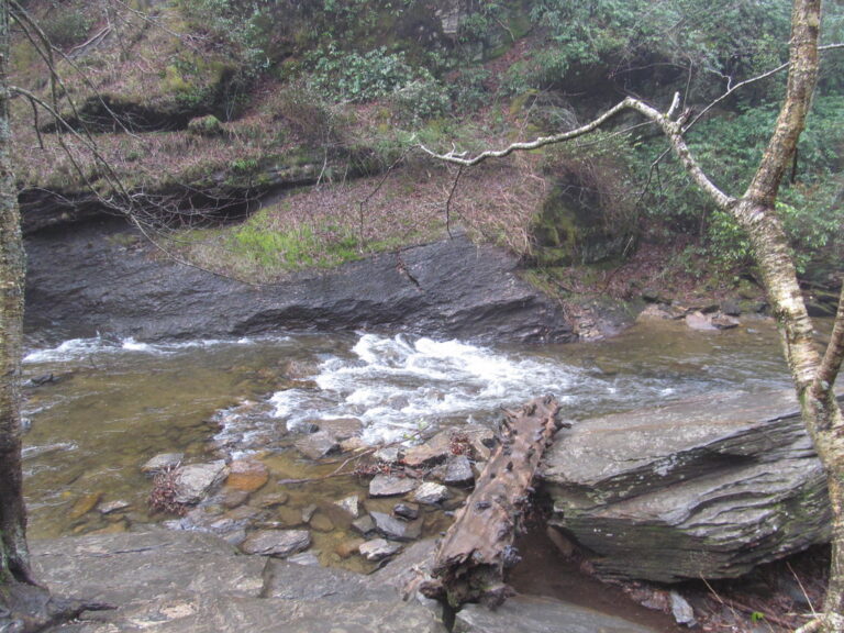 Looking Glass Falls - North Carolina
