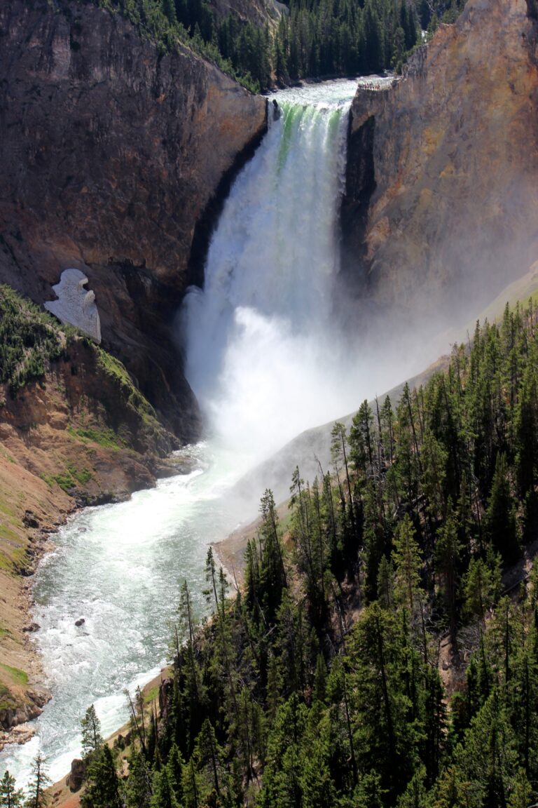 Lower Yellowstone Falls
